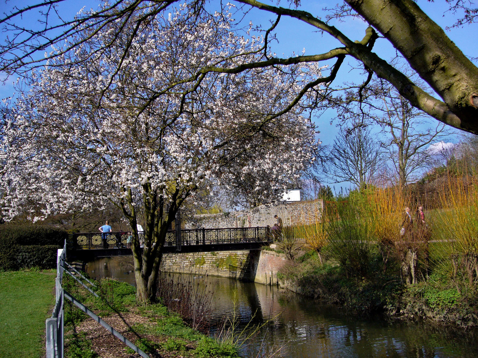 Bury St. Edmunds